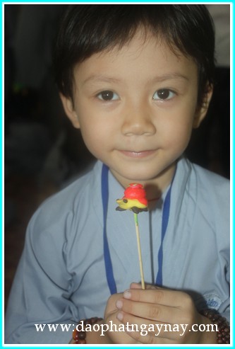 Khóa tu Gieo Hạt Từ Tâm 19: Bé yêu muôn loài