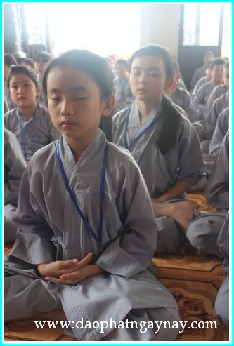 Khóa tu Gieo Hạt Từ Tâm 19: Bé yêu muôn loài