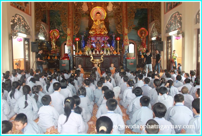 Khóa tu Gieo Hạt Từ Tâm 19: Bé yêu muôn loài