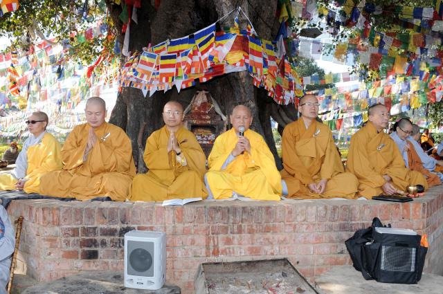 Đoàn Phật tử Hoa Kỳ, Cananda và Việt Nam hành hương đất Phật