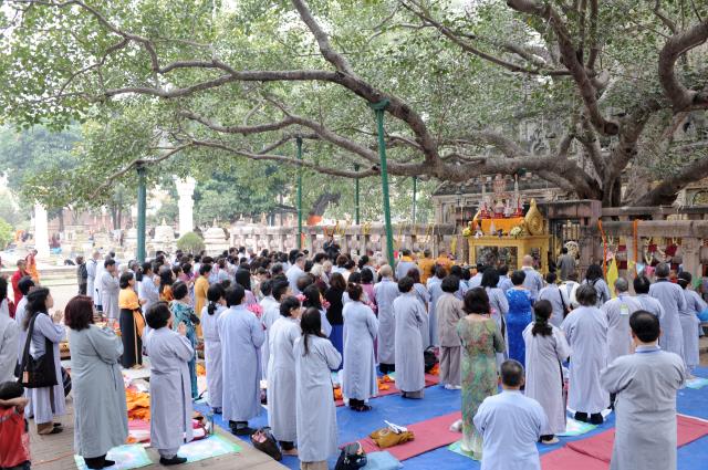 Đoàn Phật tử Hoa Kỳ, Cananda và Việt Nam hành hương đất Phật