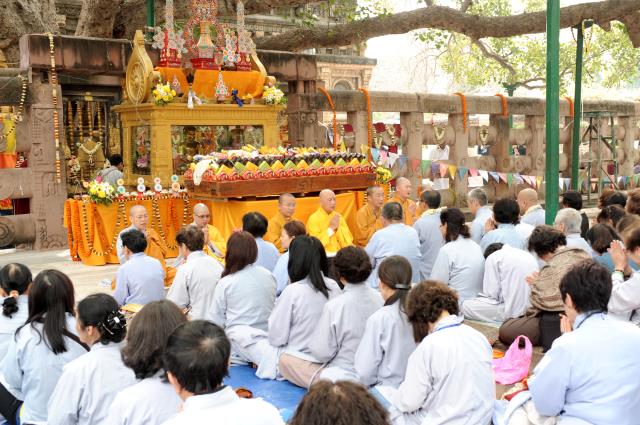 Đoàn Phật tử Hoa Kỳ, Cananda và Việt Nam hành hương đất Phật