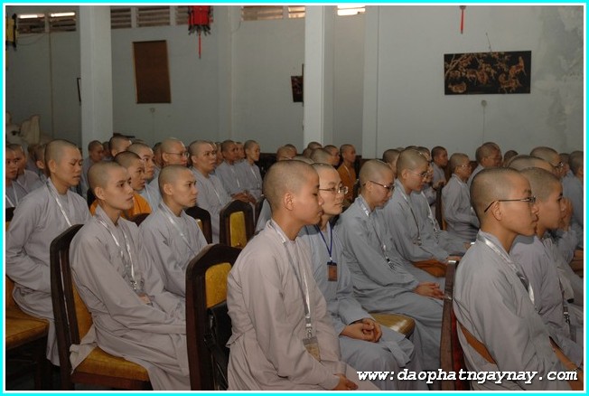 TP. HCM: Chùm ảnh lễ trao học bổng Thích Minh Châu lần 2