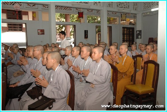 TP. HCM: Chùm ảnh lễ trao học bổng Thích Minh Châu lần 2