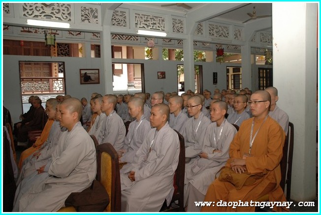 TP. HCM: Chùm ảnh lễ trao học bổng Thích Minh Châu lần 2