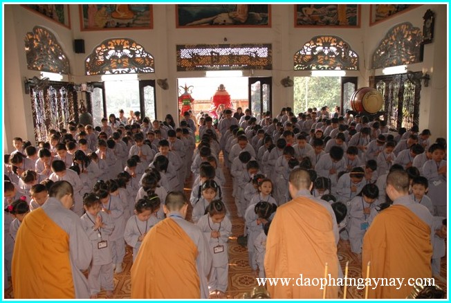 TP. HCM: Chùm ảnh khóa tu Gieo Hạt Từ Tâm 21: Bé Vui Xuân