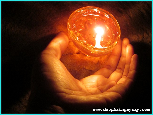 Đồng Nai: Khóa thiền Vipassana mùa xuân 2014