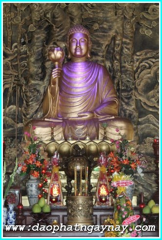 Vũng Tàu: Gieo Hạt Từ Tâm Kì 24: Về Miền Đất Đỏ