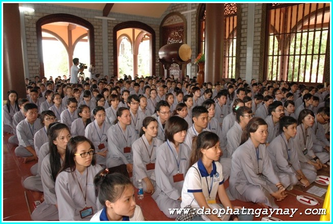 Vũng Tàu: Gieo Hạt Từ Tâm Kì 24: Về Miền Đất Đỏ