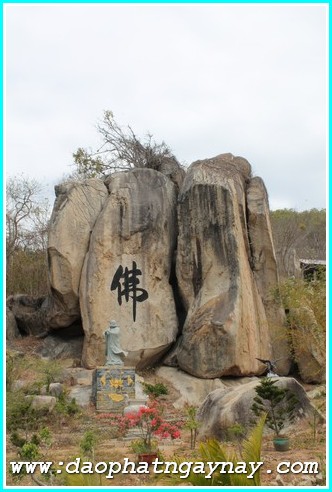 Vũng Tàu: Gieo Hạt Từ Tâm Kì 24: Về Miền Đất Đỏ