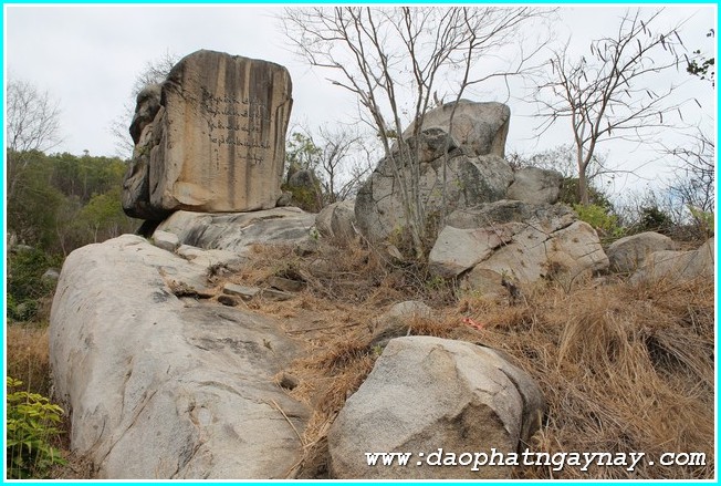 Vũng Tàu: Gieo Hạt Từ Tâm Kì 24: Về Miền Đất Đỏ