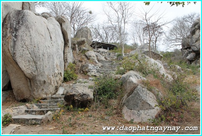 Vũng Tàu: Gieo Hạt Từ Tâm Kì 24: Về Miền Đất Đỏ