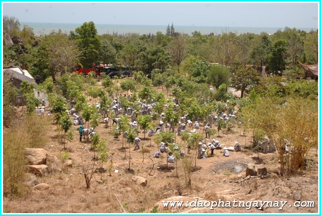 Vũng Tàu: Gieo Hạt Từ Tâm Kì 24: Về Miền Đất Đỏ