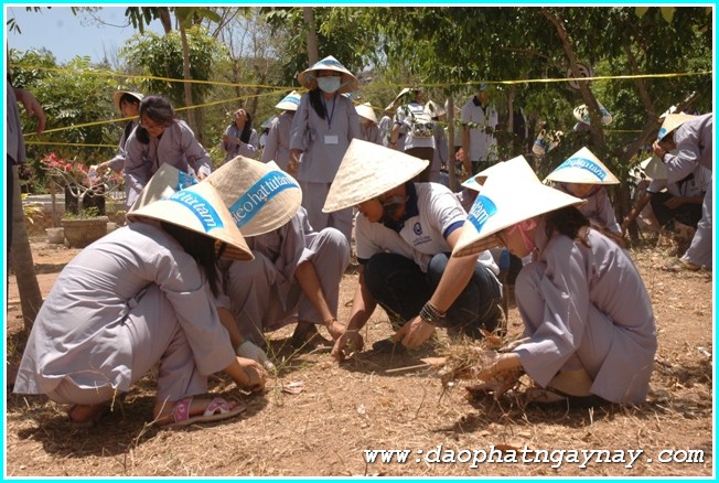 Vũng Tàu: Gieo Hạt Từ Tâm Kì 24: Về Miền Đất Đỏ