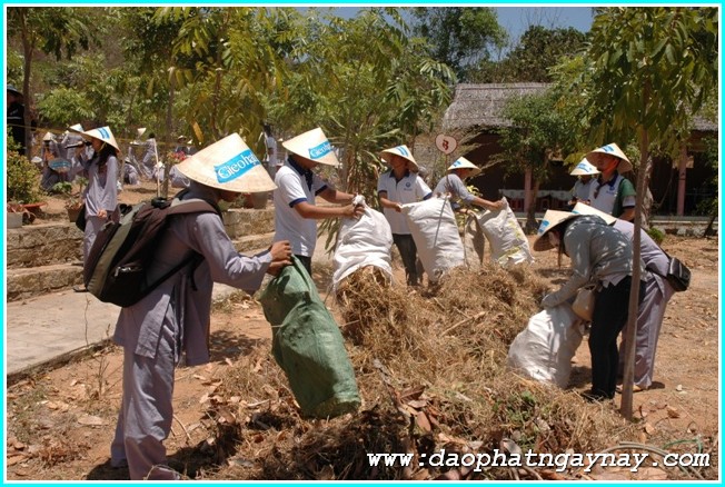 Vũng Tàu: Gieo Hạt Từ Tâm Kì 24: Về Miền Đất Đỏ