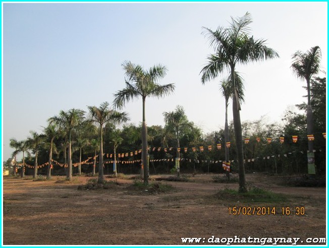 Lễ hội cúng đèn rằm tháng giêng tại thiền viện Phước Sơn