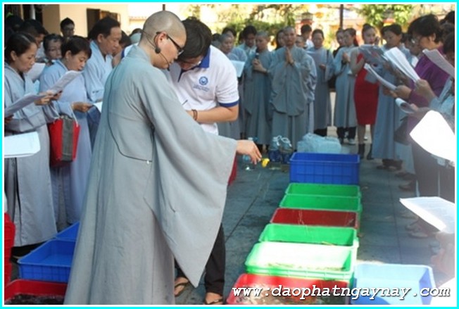 Chùm ảnh: Tu viện Quan Âm kỷ niệm ngày khánh đản đức Quán Thế Âm