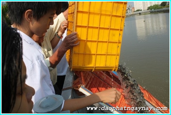 Chùm ảnh: Tu viện Quan Âm kỷ niệm ngày khánh đản đức Quán Thế Âm