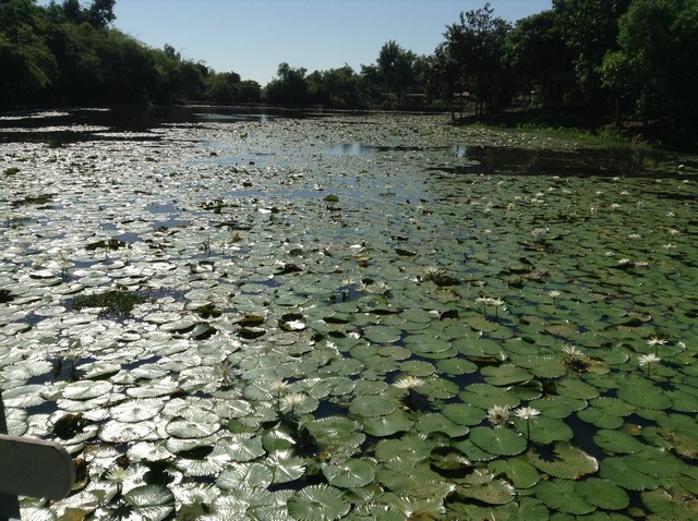 Myanmar: Hội thảo khoa học quốc tế về thiền Vipassana