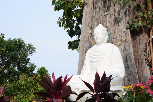 Chùm ảnh: Chùa Giác Ngộ tổ chức hành hương thập tự đầu năm Giáp Ngọ 2014