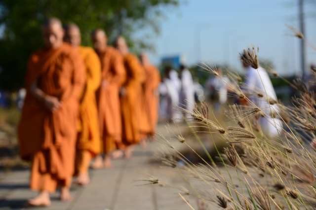 Chùm ảnh: Hàng ngàn Tăng Ni hệ phái Khất Sĩ trì bình khất thực