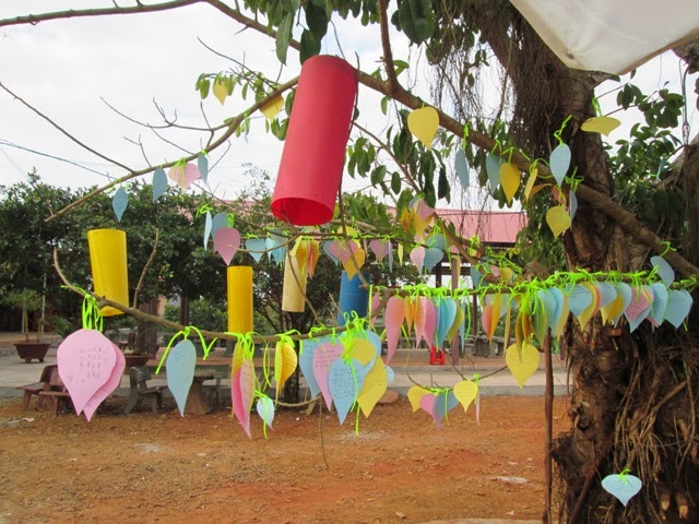 Hoa Khai mùa xuân trẩy hội