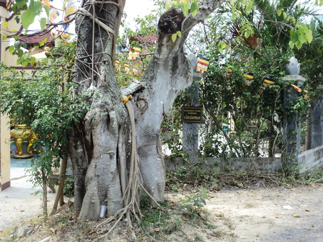 Khánh Hòa: Linh thiêng chùa Tổ VẠN THIỆN (Diên Khánh)