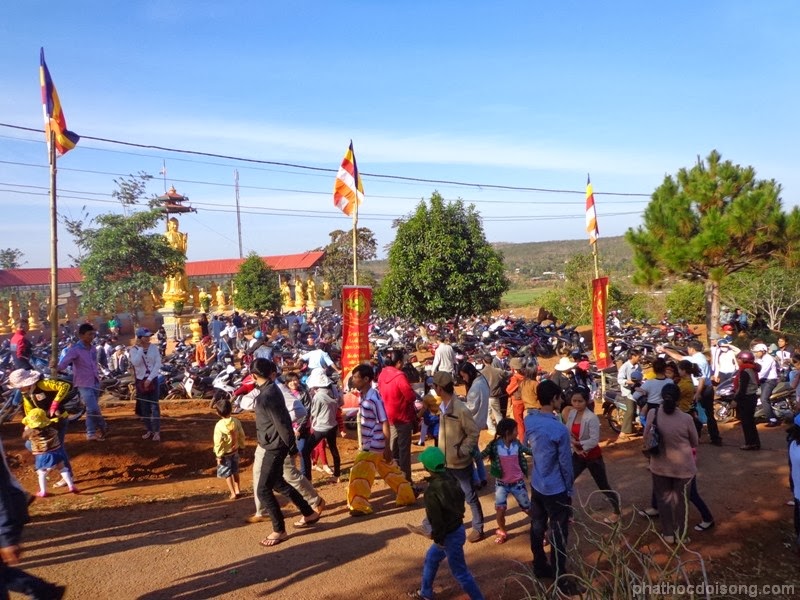 Hoa Khai mùa xuân trẩy hội