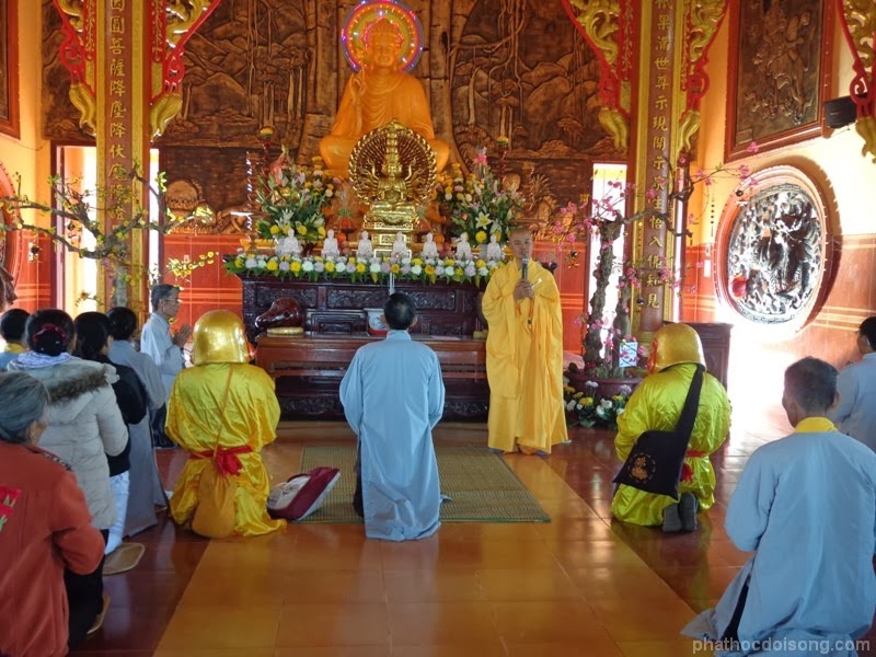 Hoa Khai mùa xuân trẩy hội
