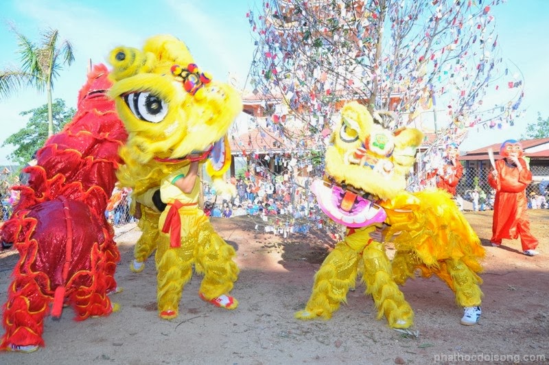 Hoa Khai mùa xuân trẩy hội