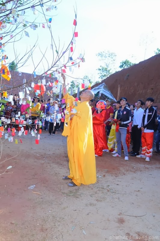 Hoa Khai mùa xuân trẩy hội
