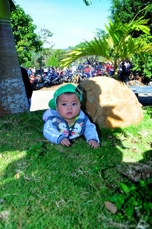 Hoa Khai mùa xuân trẩy hội