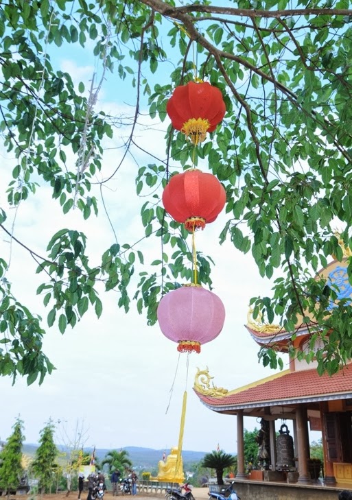 Hoa Khai mùa xuân trẩy hội