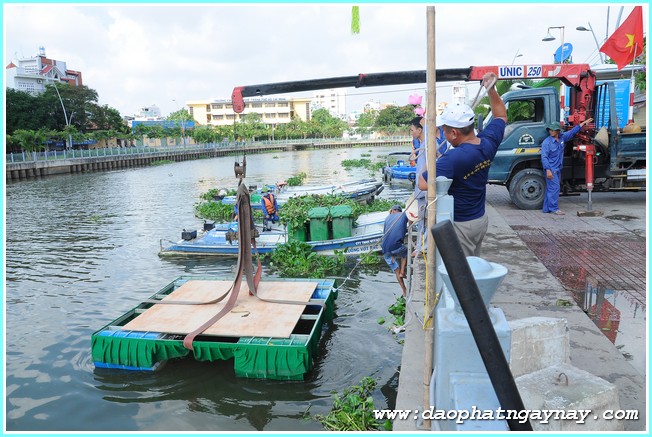 TP. HCM: Quan Âm tu viện hạ thủy thất Liên Đăng