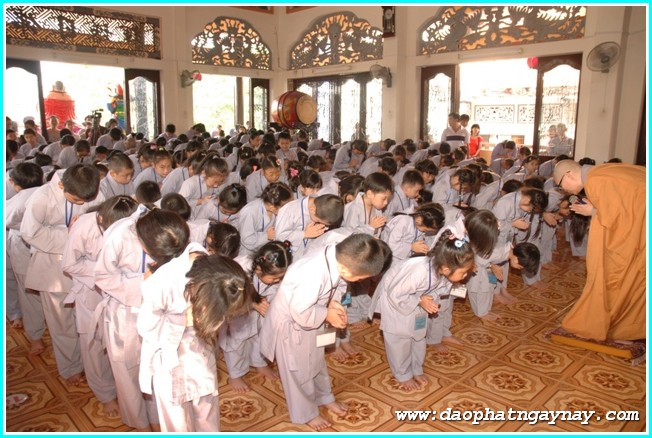 TP. HCM: Gieo Hạt Từ Tâm 25: Kỷ niệm hai năm khóa tu