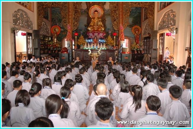 TP. HCM: Gieo Hạt Từ Tâm 25: Kỷ niệm hai năm khóa tu