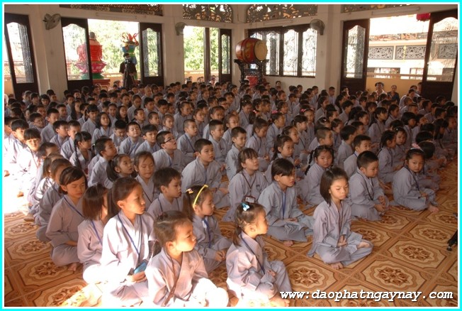 TP. HCM: Gieo Hạt Từ Tâm 25: Kỷ niệm hai năm khóa tu