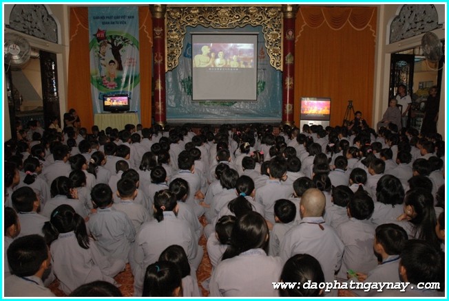 TP. HCM: Gieo Hạt Từ Tâm 25: Kỷ niệm hai năm khóa tu