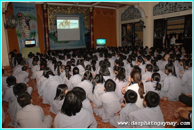 TP. HCM: Gieo Hạt Từ Tâm 25: Kỷ niệm hai năm khóa tu