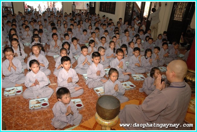 TP. HCM: Gieo Hạt Từ Tâm 25: Kỷ niệm hai năm khóa tu