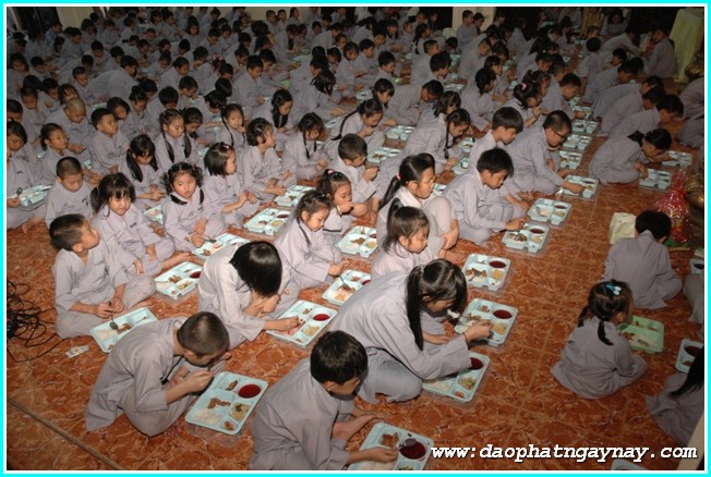 TP. HCM: Gieo Hạt Từ Tâm 25: Kỷ niệm hai năm khóa tu