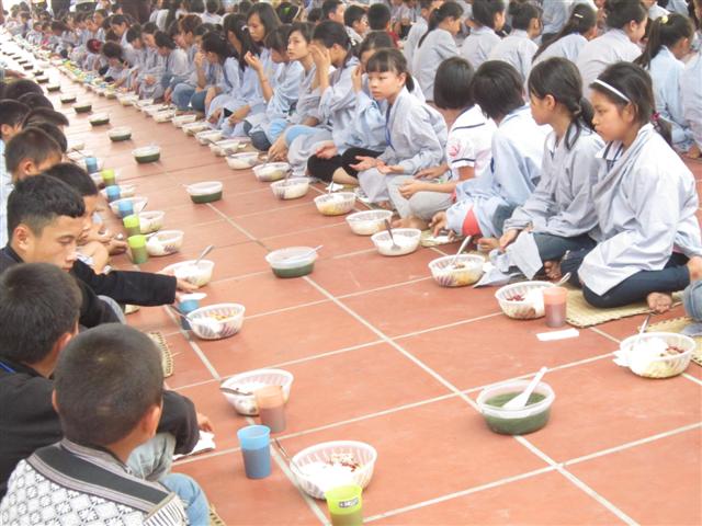 Chùm Ảnh Tổng Hợp Khóa Tu Nụ Thương Sen Hồng Chùa Từ Xuyên
