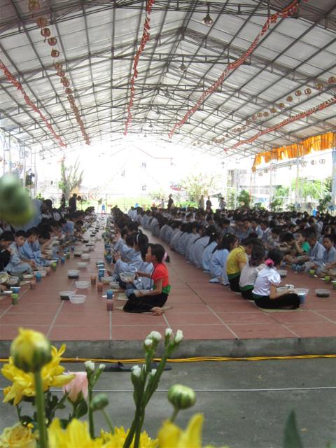 Chùm Ảnh Tổng Hợp Khóa Tu Nụ Thương Sen Hồng Chùa Từ Xuyên