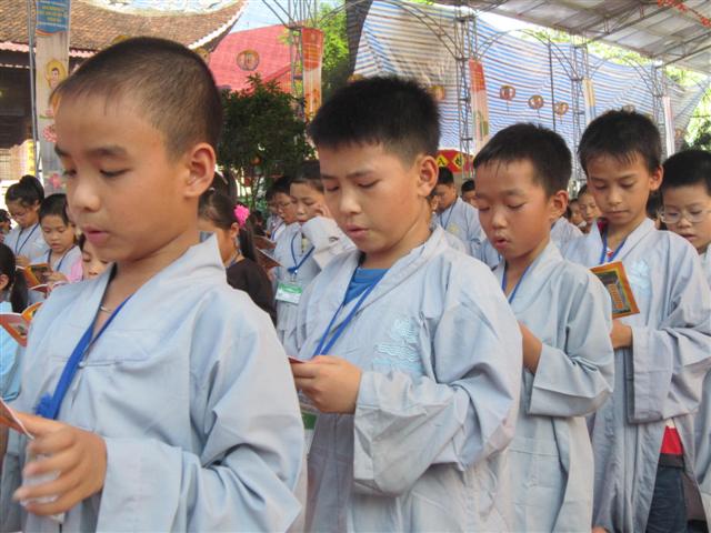Chùm Ảnh Tổng Hợp Khóa Tu Nụ Thương Sen Hồng Chùa Từ Xuyên