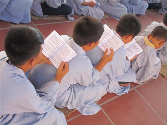 Chùm Ảnh Tổng Hợp Khóa Tu Nụ Thương Sen Hồng Chùa Từ Xuyên