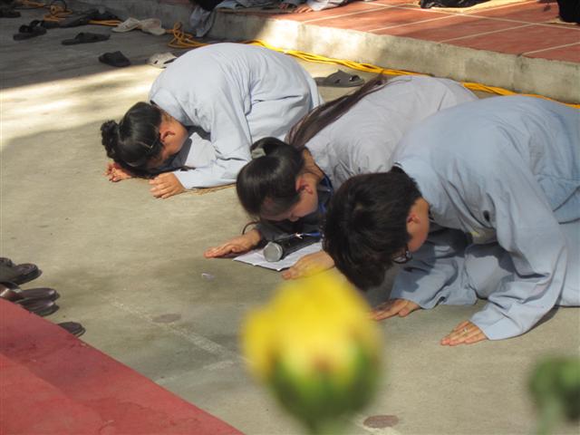 Chùm Ảnh Tổng Hợp Khóa Tu Nụ Thương Sen Hồng Chùa Từ Xuyên