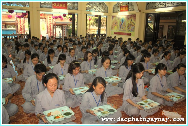 Gieo Hạt Từ Tâm 26: Trở Về Tuổi Thơ