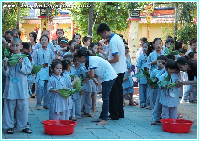 TP. HCM: Chùm ảnh khóa tu Gieo Hạt Từ Tâm 27 - Mùa Hè Cho Bé