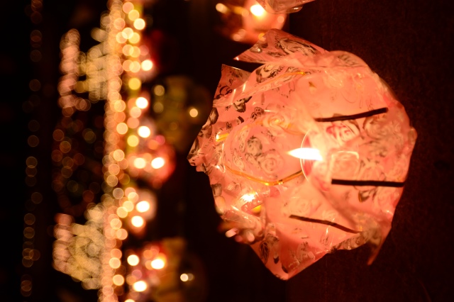 Vesak 2014: Lãnh đạo đảng, nhà nước, Phật giáo quốc tế cầu nguyện hòa bình