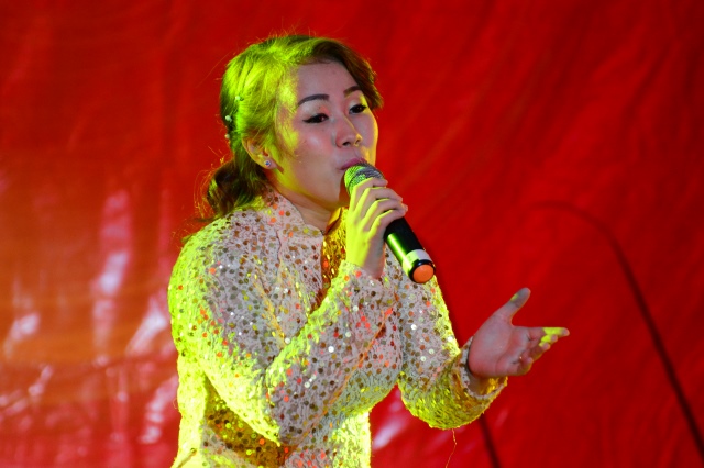 TP. HCM: Đêm thứ hai vòng bán kết hội thi văn nghệ Phật giáo chào mừng Đại lễ Vesak LHQ 2014